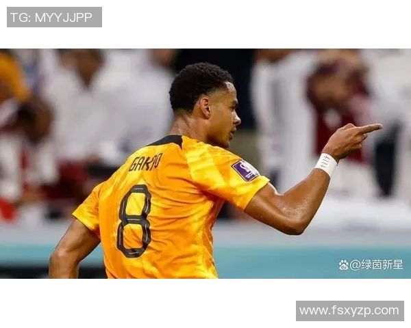 加克波：从新星崛起到足球巨星的奋斗历程与未来展望